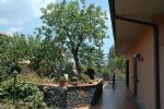 Sotto il Vulcano