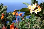 Photo hotel Calhau Grande
