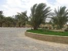 Photo hotel Hotel Sahara Douz