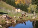 Photo hotel H�tel-Restaurant Le Domaine de Basil