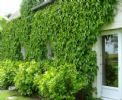 G�te de Villerussien