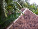 The Villa Siem Reap