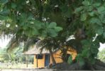Ezile Bay Village