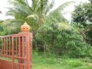 Photo hotel Bungalow des Rizi�res