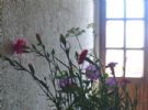 Photo hotel Takaev