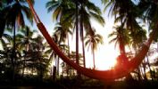 Coco Mango Lodge