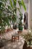 Riad Miski