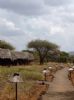 Kibo Tented Camp