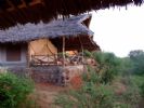 Man Eaters Camp