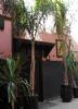 Riad Dar Najat