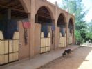 Les Cavaliers de la Savane