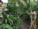R�sidence Piment-Caf�