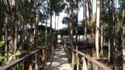 JJ's Paradise Hotel