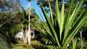Photo hotel Tacacori Ecolodge
