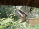 Photo hotel Au Jardin Helvetia