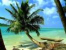 Photo hotel Paradisa H�tel