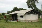 Photo hotel Porini Lion Camp