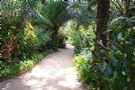 Photo hotel La Paillote Village H�tel