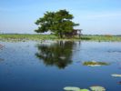 Photo hotel Chez Sam Battambang
