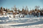 Les Chiens et G�te du Grand Nord