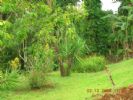Photo hotel H�tel-R�sidence Bungalows Petite Trac�e
