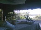 Photo hotel Art Jungle