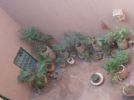 Photo hotel Dar Raha