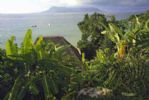 Photo hotel Tsara Komba Lodge