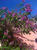Photo hotel Riad Zayane Atlas