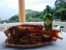 Photo hotel Albizia Lodge