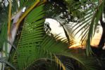 Photo hotel L'Escale Tropicale