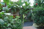 Photo hotel L'Escale Tropicale