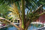 Photo hotel Hilton Maldives Iru Fushi Resort & Spa