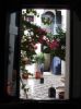 Photo hotel Riad Isabel