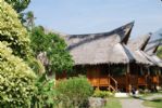 Photo hotel Pura Vida Beach & Dive Resort