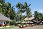 Photo hotel Pura Vida Beach & Dive Resort