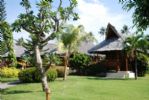 Photo hotel Pura Vida Beach & Dive Resort