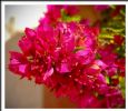 Photo hotel Riad Amanouz