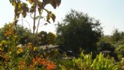 Photo hotel Mai Siam Resort