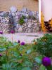 Photo hotel Jahongir B&B