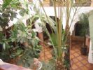 Photo hotel Riad Bab Janna