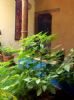 Photo hotel Posada Yolihuani