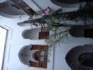 Photo hotel Riad Miski