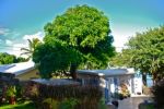 Photo hotel Bungalow T�r Marine