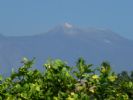 Photo hotel Il Limoneto