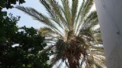 Photo hotel Al Giardino Nascosto