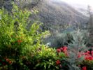 Photo hotel Dar L'Eau Vive