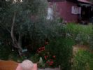 Photo hotel Dar L'Eau Vive