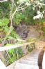 Photo hotel Casitas Kinsol