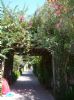 Photo hotel Hotel Les Lilas